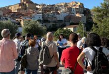 Adopt an olive tree and create a unique connection with Oliete, a spanish village