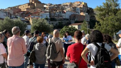 Adopt an olive tree and create a unique connection with Oliete, a spanish village