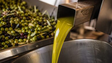 How Extra Virgin Olive Oil is made?