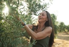 Olivia LaBomba: Returning olive oil to its place at the center of the kitchen