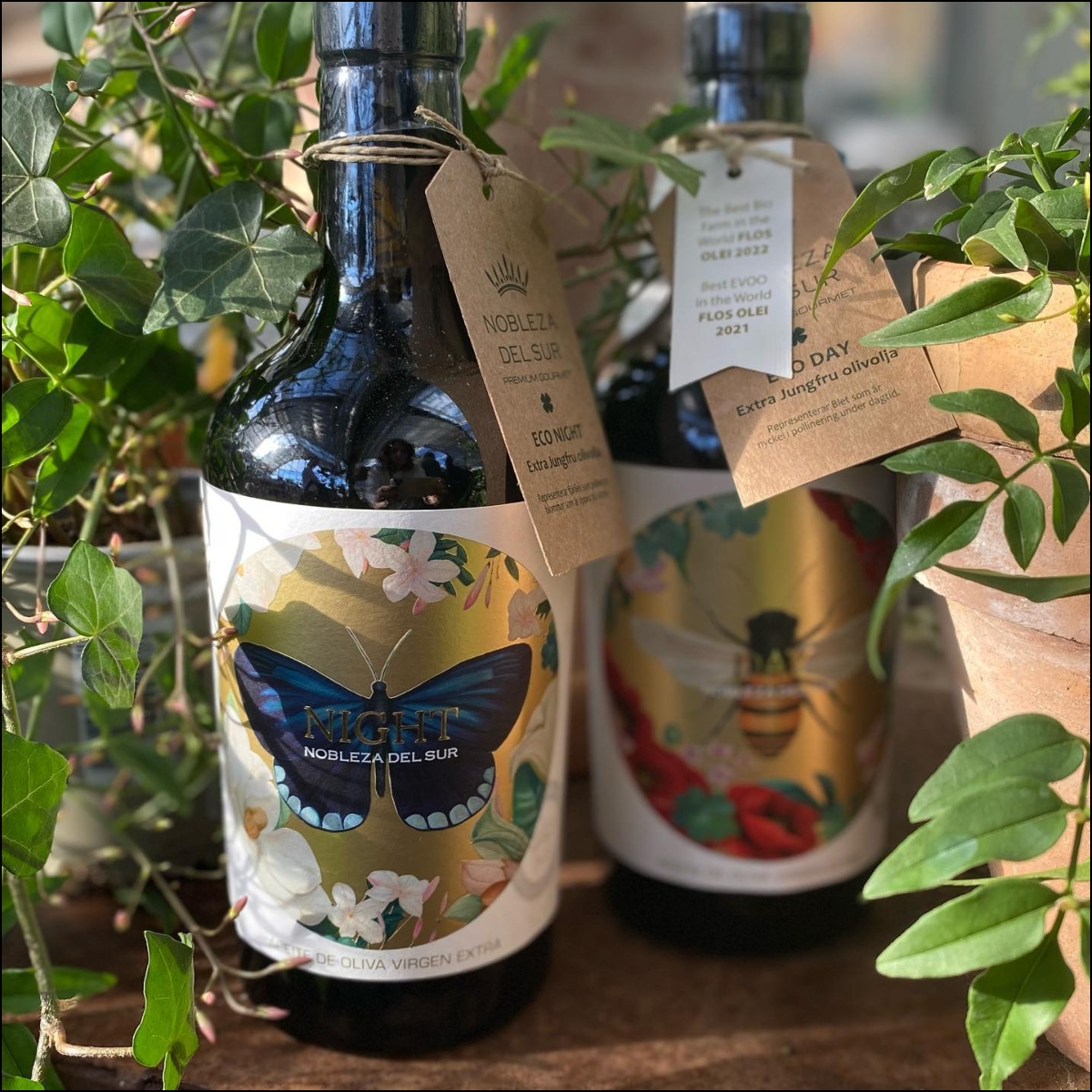 Nobleza del Sur Olive Oil