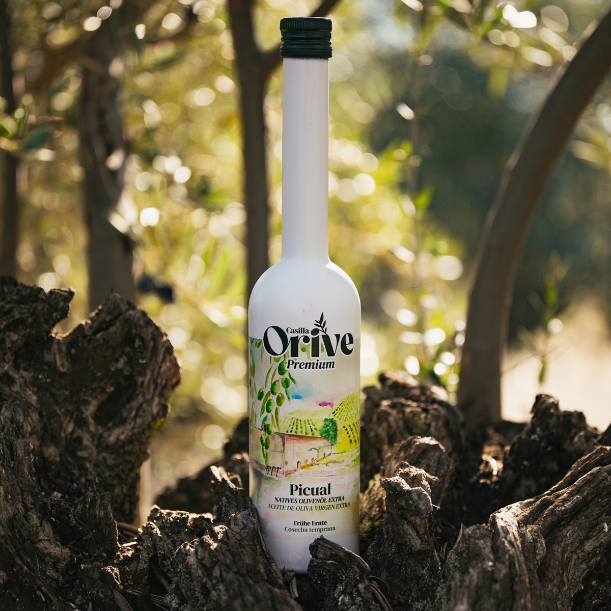 Casilla Orive Olive Oil