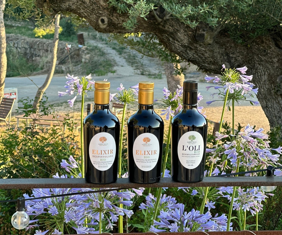 ELIXIR Olive Oil