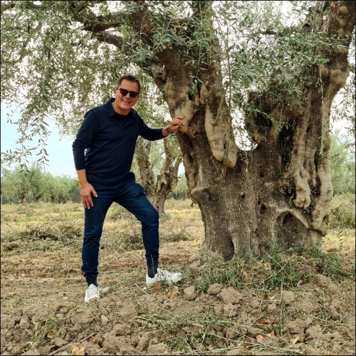 El Loco del Aceite