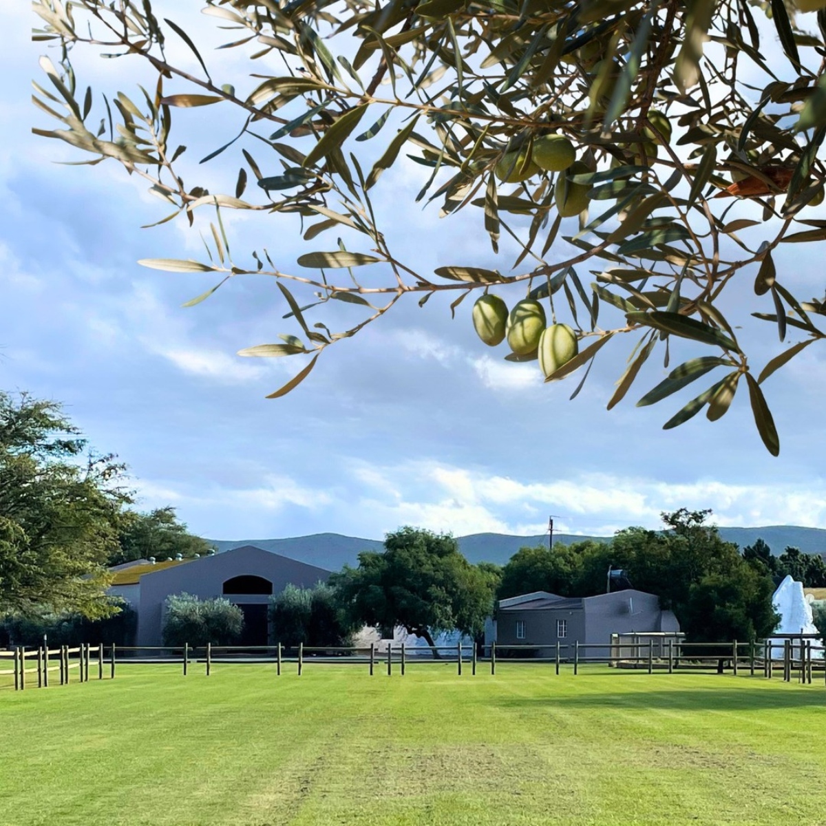 Rio Largo Farm