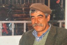 Veysel: Honoring a grandfather's dream in every harvest