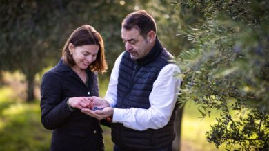 Lozano Červenka: An Olive Oil born from a Spanish-Czech love story