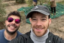 ATTIMO Olive Oil: The Long Way Home