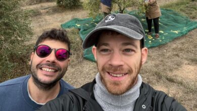 ATTIMO Olive Oil: The Long Way Home