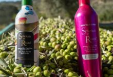 Olive oil in aluminum bottles: is it better than glass?