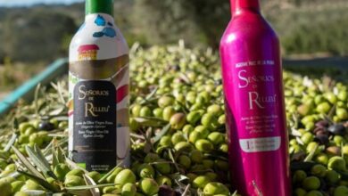Olive oil in aluminum bottles: is it better than glass?