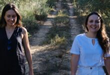 Piquetberg Olive Oil: Carrying their father's grove into a new generation