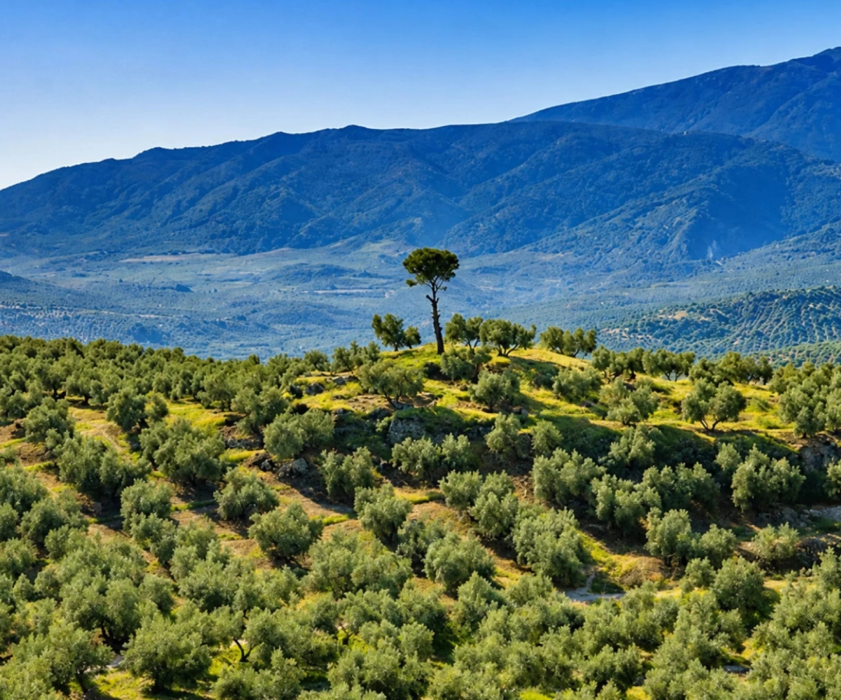 Sierra Mágina, Jaén, Spain